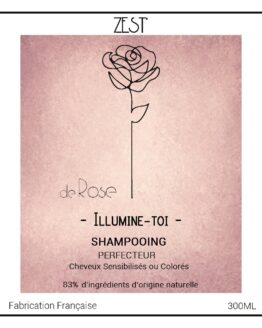 Le Shampooing PERFECTEUR 300ml