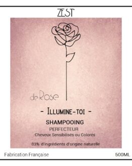 Le Shampooing PERFECTEUR 500ML